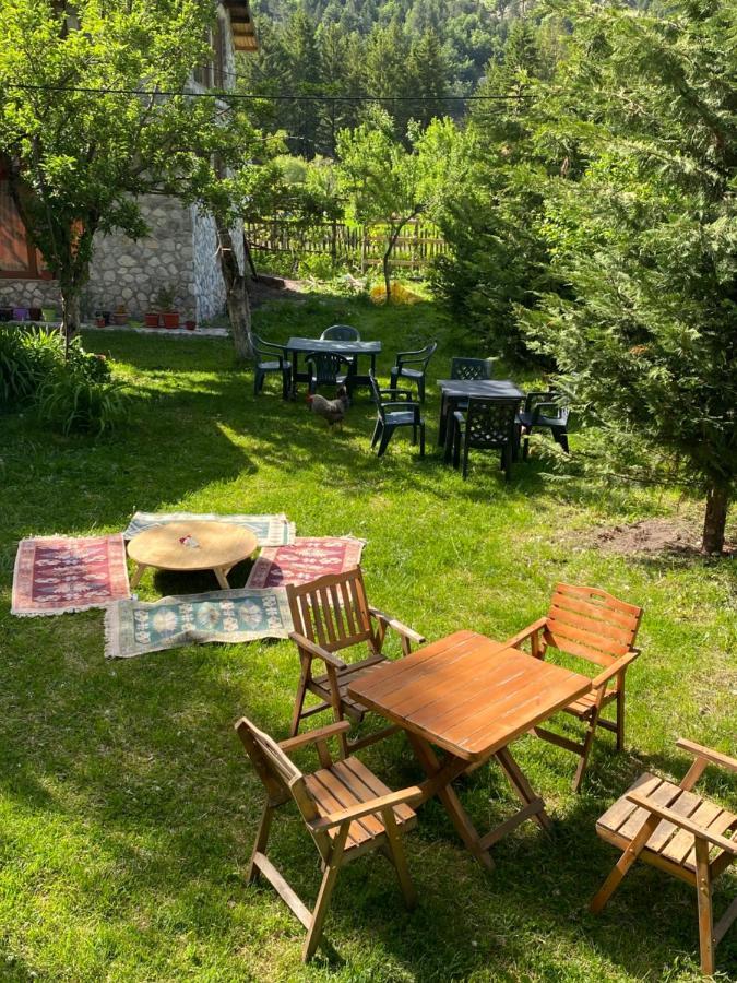 Guesthouse Demushi Вальбоне Екстер'єр фото